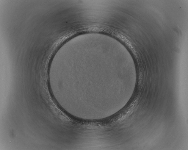 X0000111480673200908111202