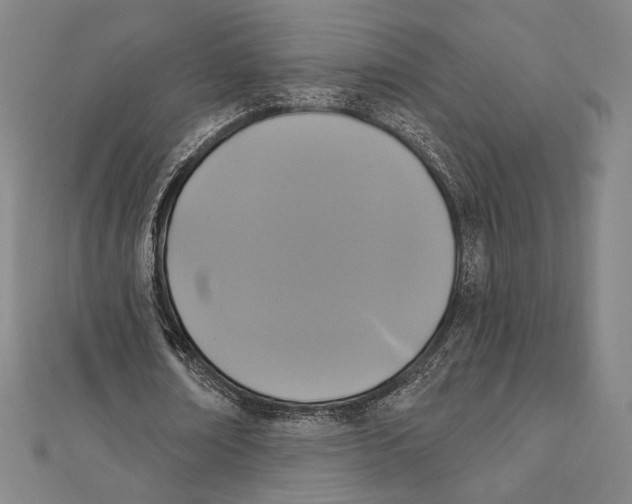 X0000111480674200908111202