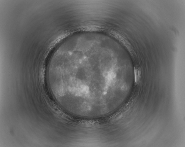 X0000111480675200908111202