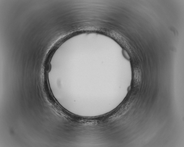 X0000111480676200908111202