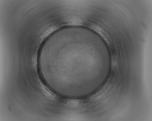 X0000111480677200908111202
