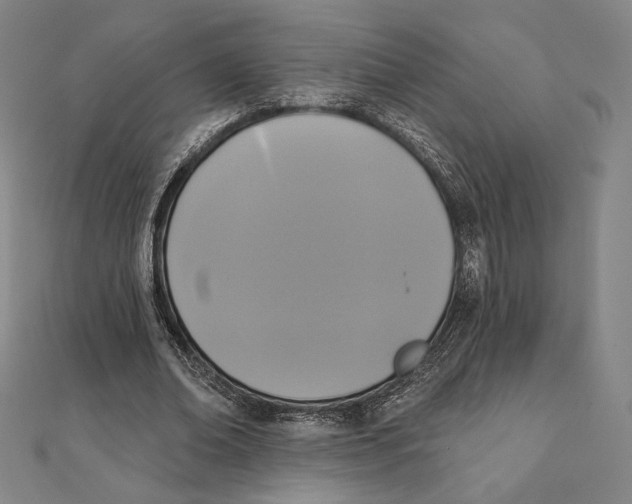 X0000111480678200908111202