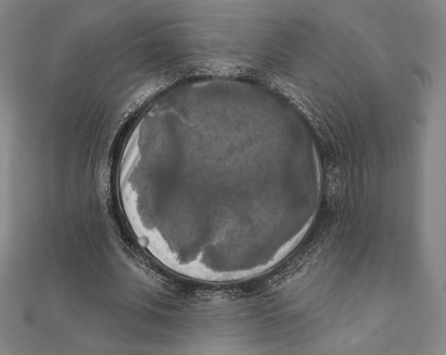 X0000111480679200908111202