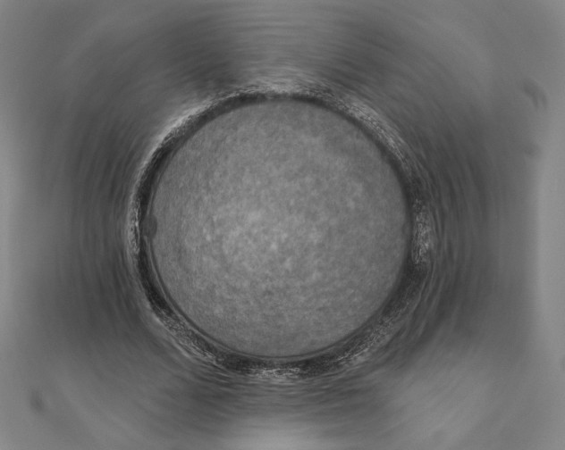 X0000111480680200908111202
