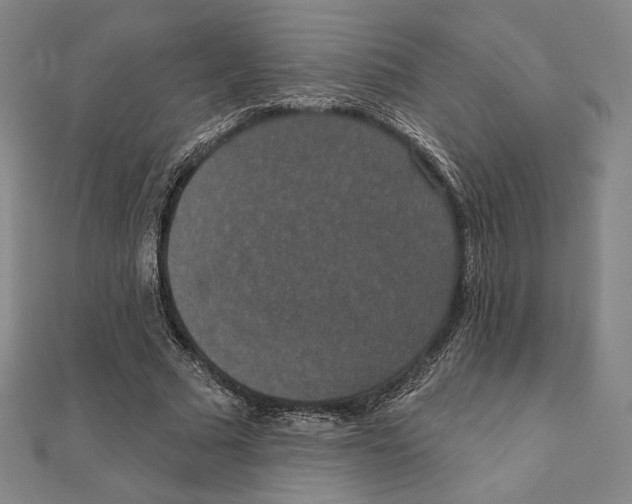 X0000111480681200908111202