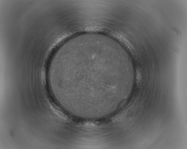 X0000111480684200908111202