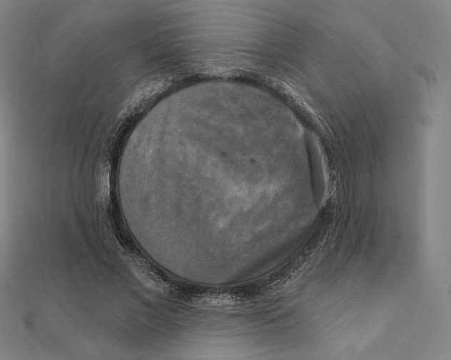 X0000111480685200908111202