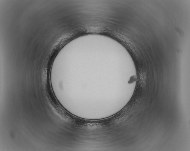 X0000111480686200908111202