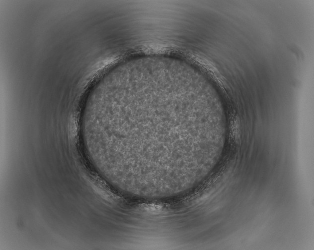 X0000111480687200908111202