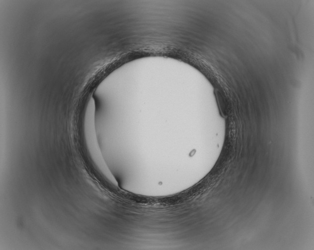 X0000111480688200908111202