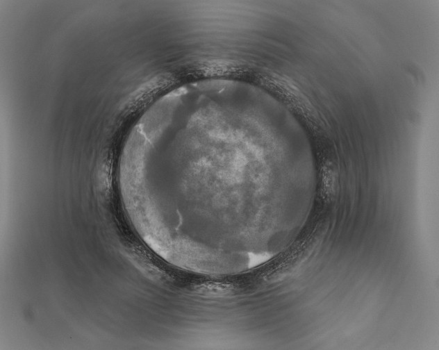 X0000111480691200908111202