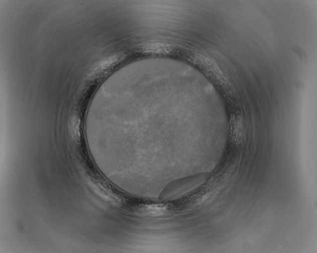 X0000111480692200908111202