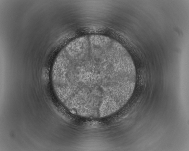 X0000111480695200908111202