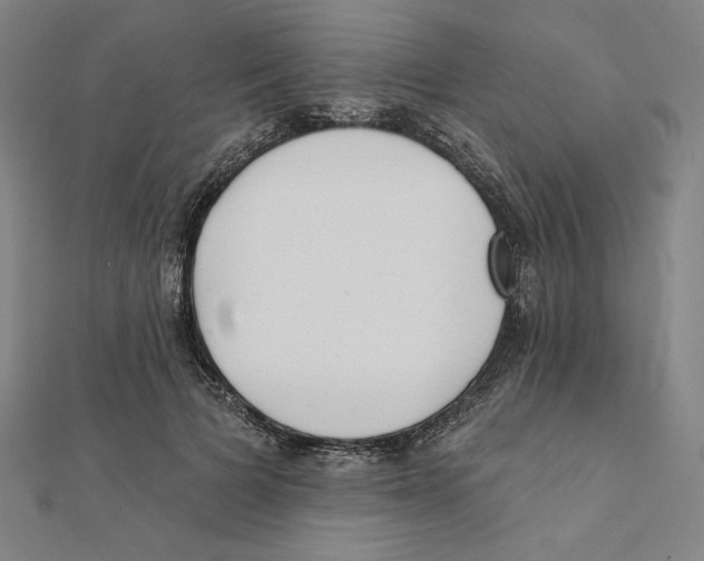 X0000111480697200908111201