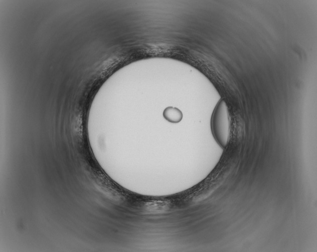 X0000111480700200908111201