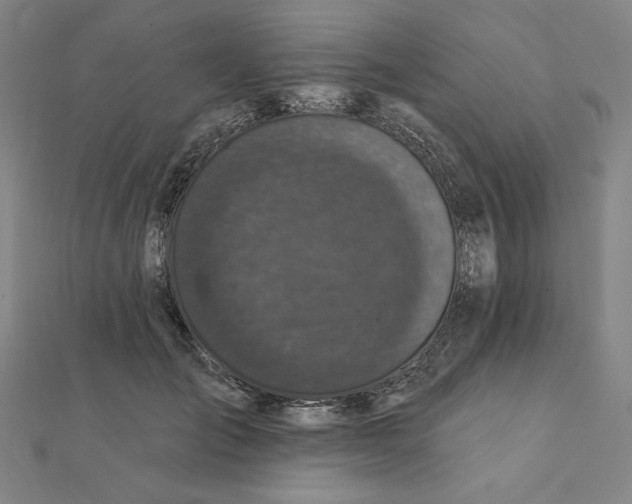 X0000111480701200908111201