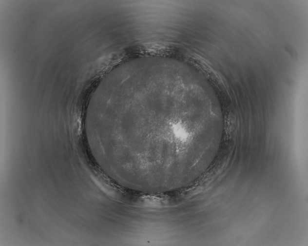 X0000111480703200908111201