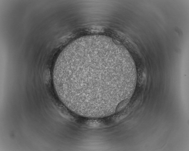 X0000111480704200908111201