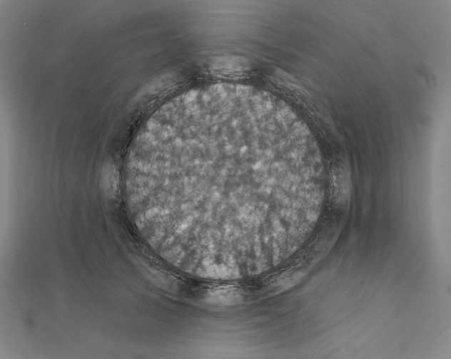 X0000111480705200908111201