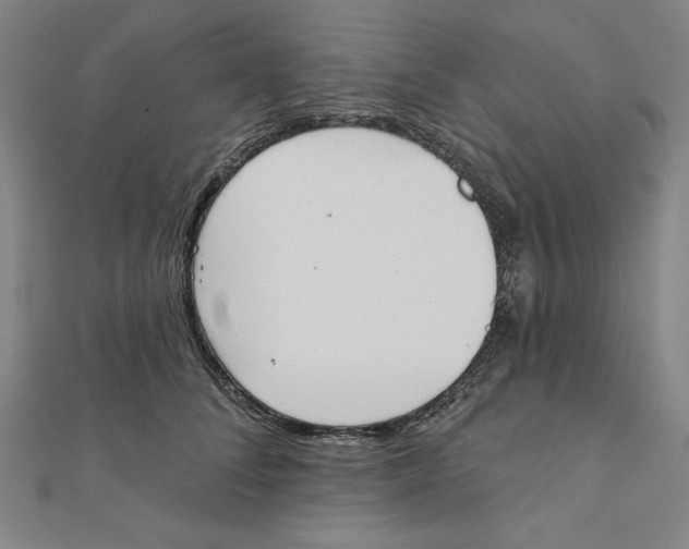 X0000111480708200908111201