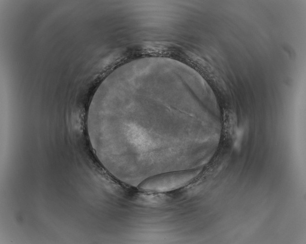 X0000111480712200908111201