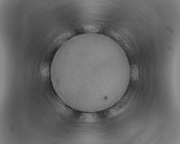 X0000111480713200908111201
