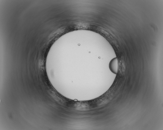X0000111480714200908111201