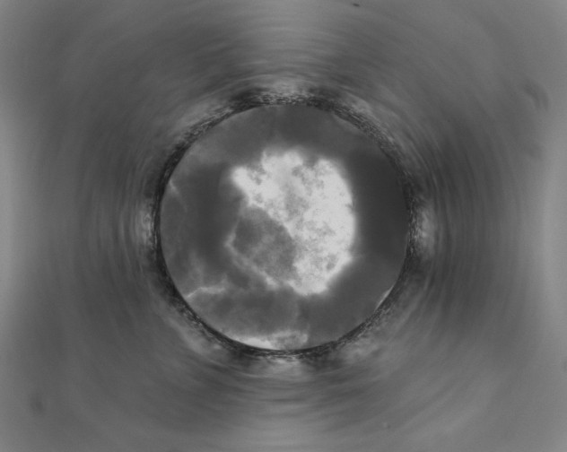 X0000111480715200908111201
