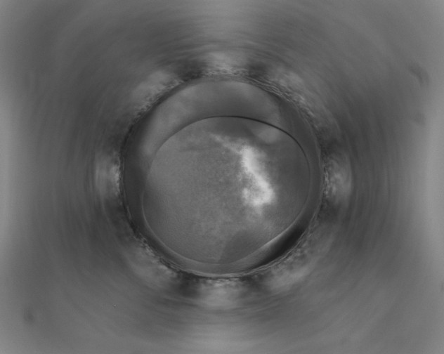 X0000111480716200908111201