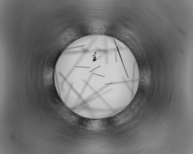 X0000111480717200908111201