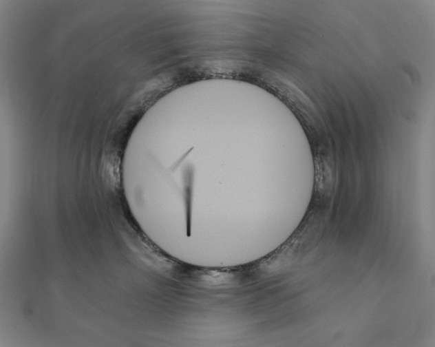 X0000111480718200908111201