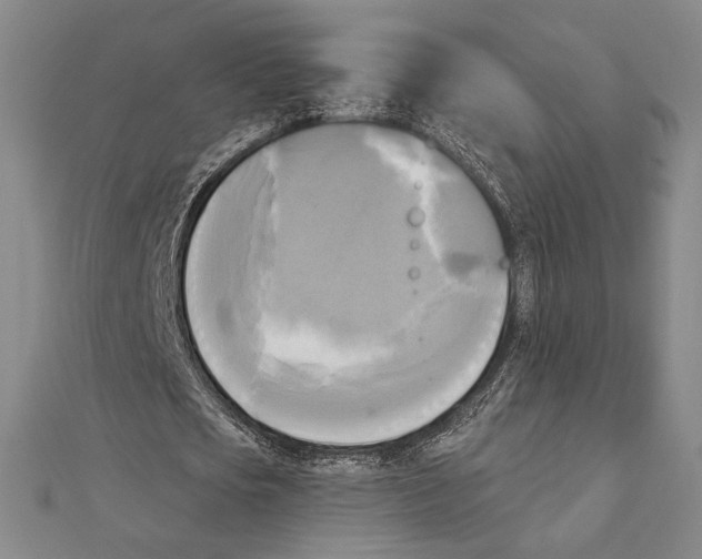 X0000111480721200908111200