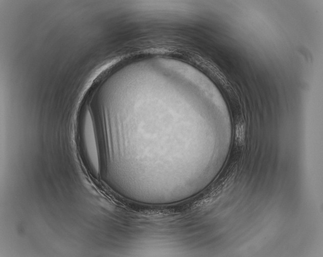 X0000111480724200908111200