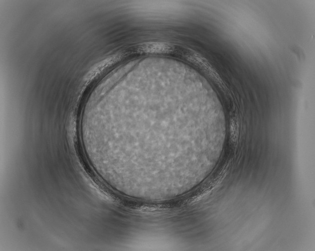 X0000111480725200908111200