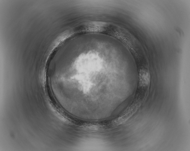 X0000111480726200908111200