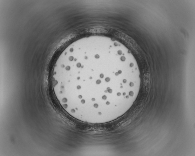 X0000111480727200908111200
