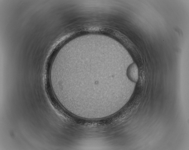 X0000111480728200908111200