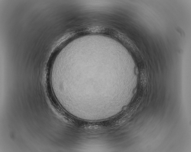 X0000111480730200908111200
