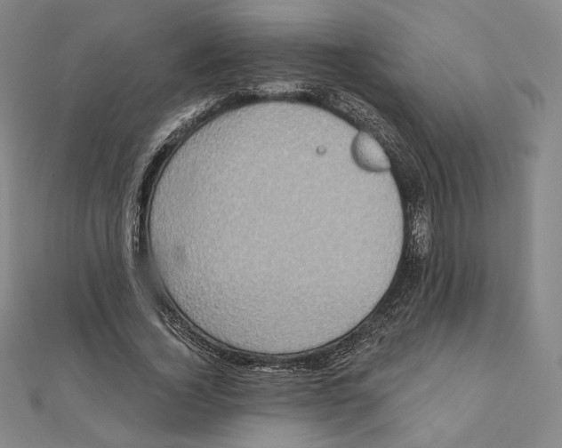 X0000111480732200908111200