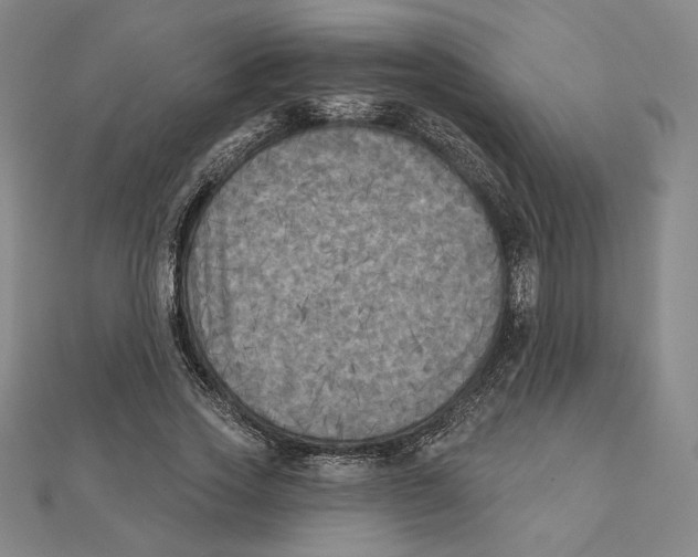 X0000111480733200908111200