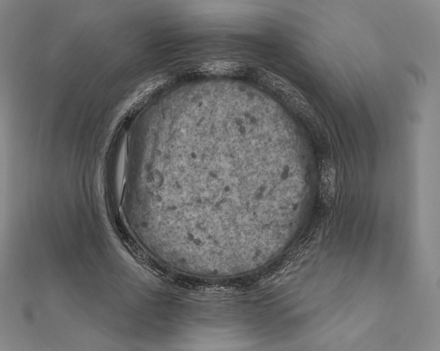 X0000111480734200908111200