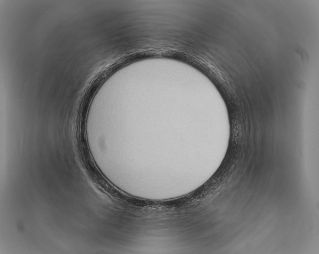 X0000111480736200908111201