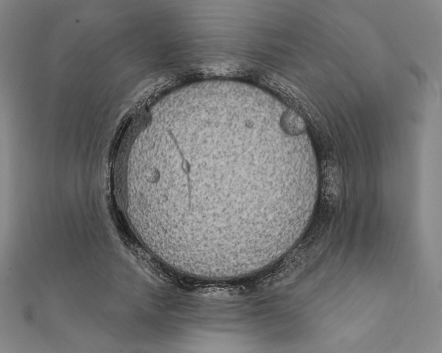 X0000111480738200908111201