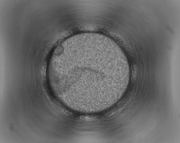 X0000111480739200908111201