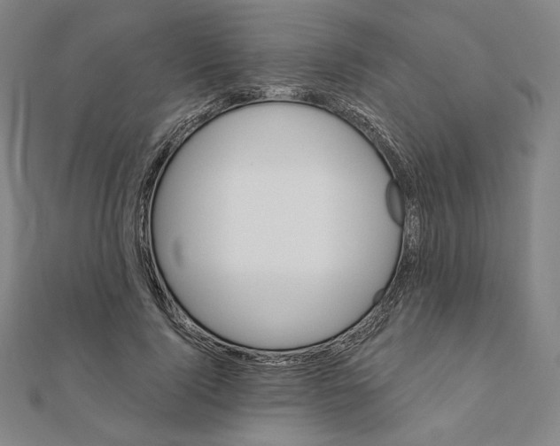 X0000111480740200908111201