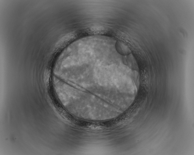 X0000111480742200908111201