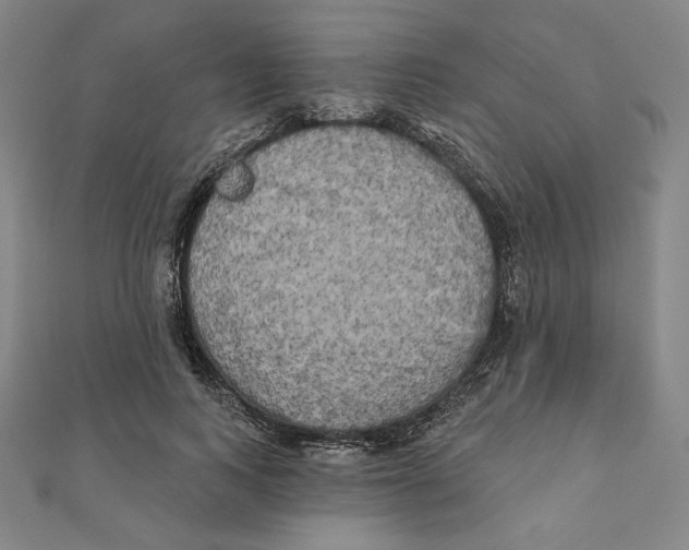 X0000111480743200908111201
