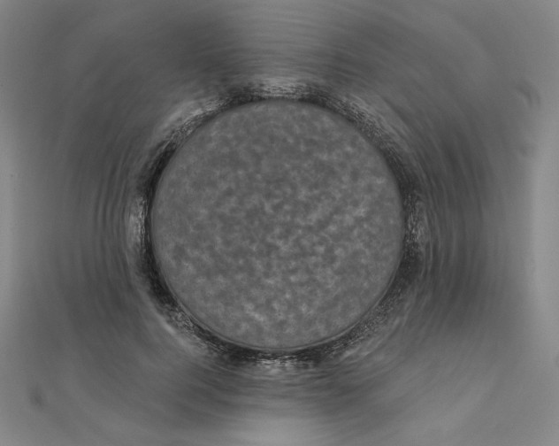 X0000111480744200908111201