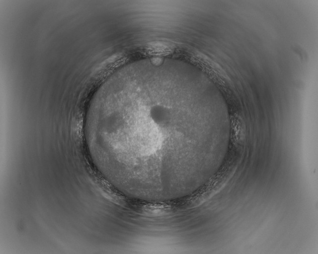 X0000111480745200908111201