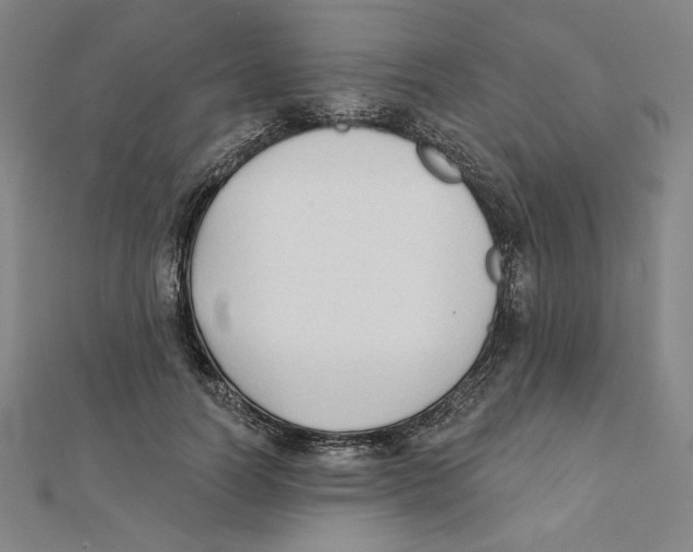 X0000111480746200908111201